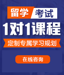 欧美老骚逼视频留学考试一对一精品课